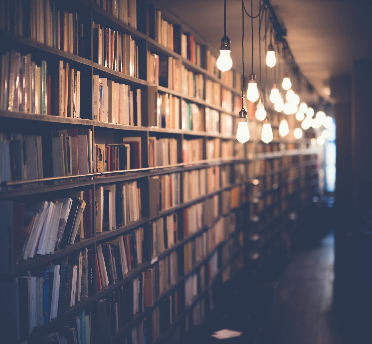 Balancing Life and PhD: A Survival Guide